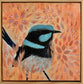 Blue wren and mallee flowers